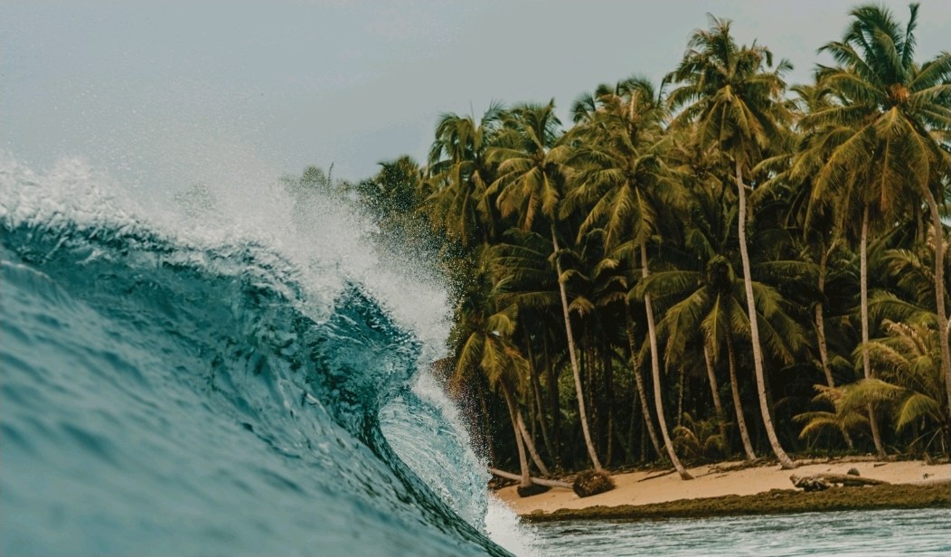 A wave rolling towards a beach of tall palms