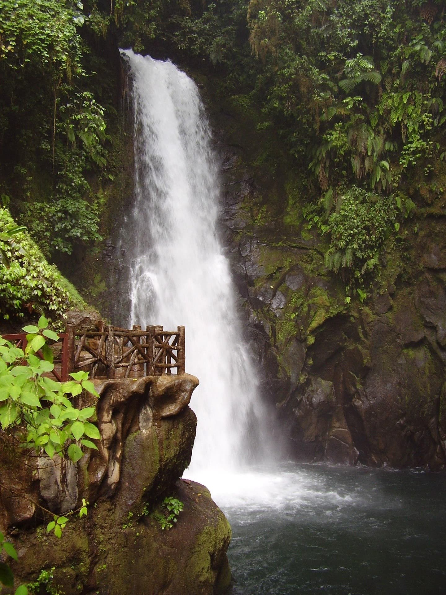 Nature, adventures — 7